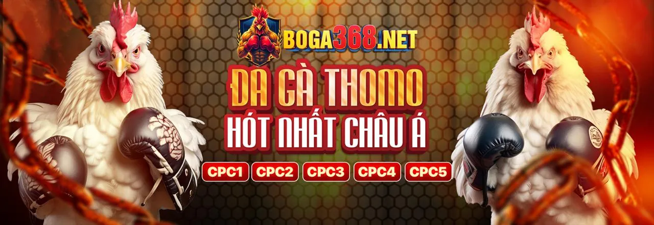 Chương Trình VIP 988bet link mới