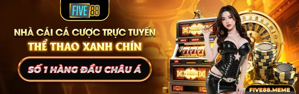 Biểu đồ minh họa các loại cookie được 988bet link mới sử dụng